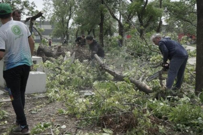 Se realizó una jornada solidaria en el Parque Domínico y el DAR