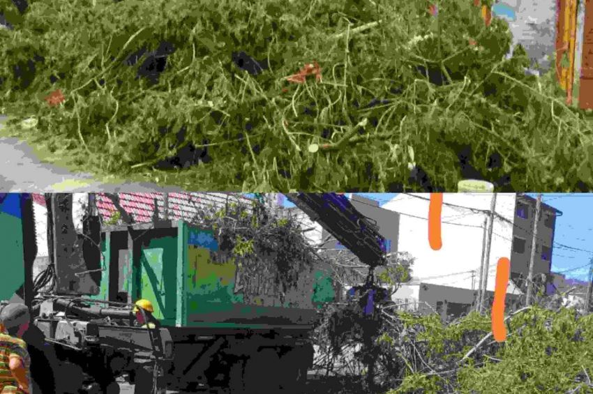 El municipio de Avellaneda informó que «continúa trabajando para mejorar la calidad de vida de los vecinos»