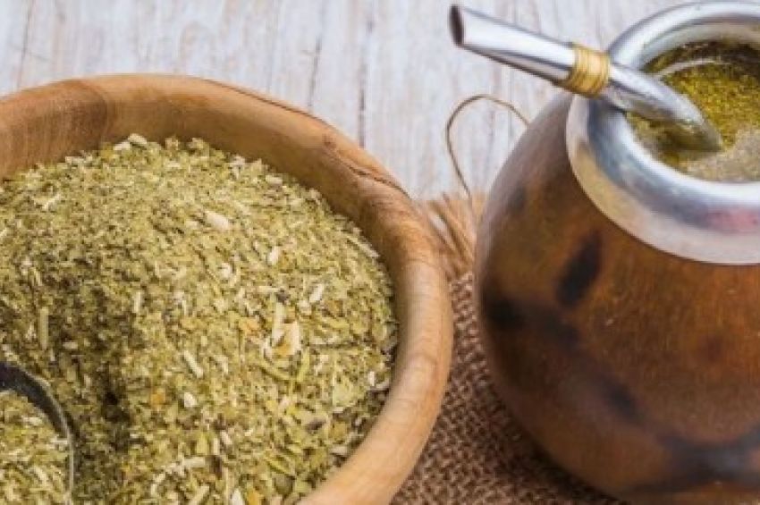 Científicos de la UNQ descubrieron que la yerba mate ayuda a cicatrizar heridas