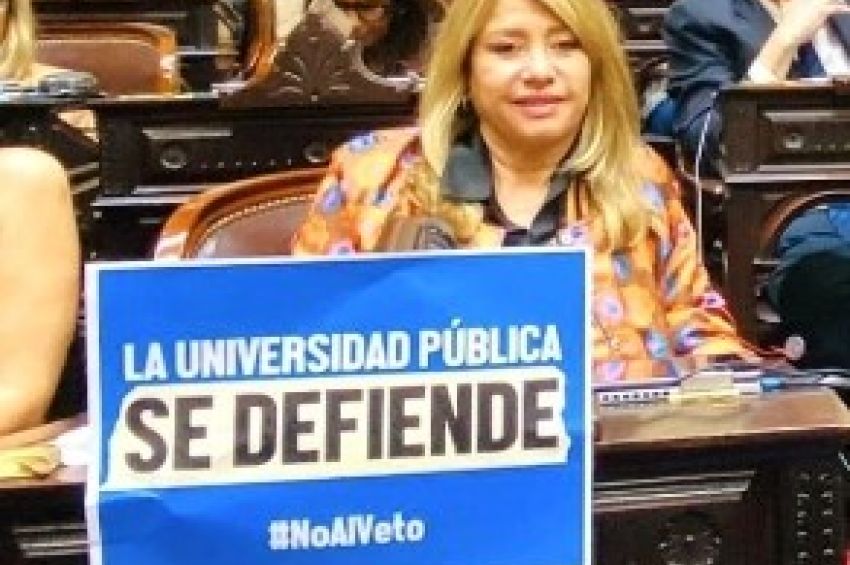 Diputada Mónica Litza: «Vetaron el futuro de la Argentina»