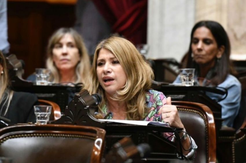 Litza: «La renegociación de la deuda pública es una facultad absoluta e indelegable del Congreso»