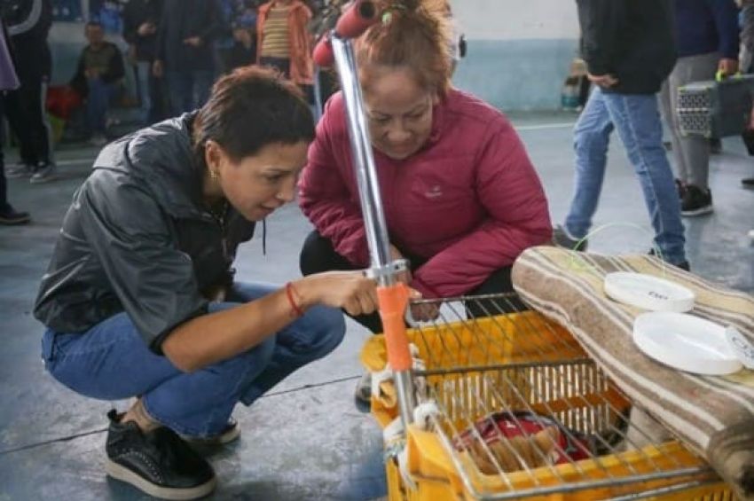 Mayra participó de un megaoperativo de castración y vacunación de animales en Quilmes Oeste