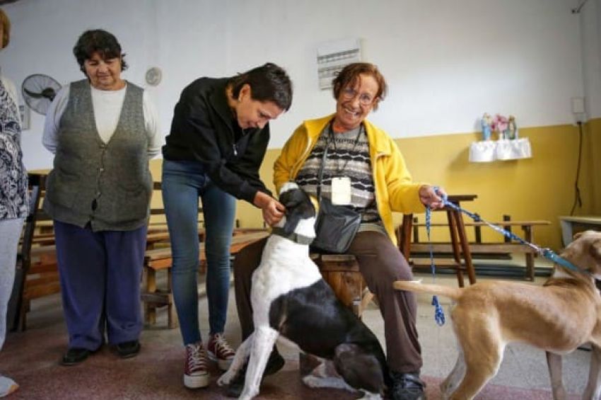 Mayra participó de un nuevo operativo de castración y vacunación de animales en Quilmes Oeste