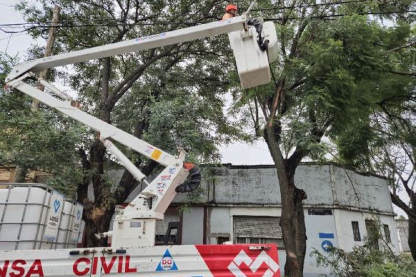 Cuadrillas de Lanús Gobierno recogieron ramas y postes caídos por las ráfagas de viento de anoche