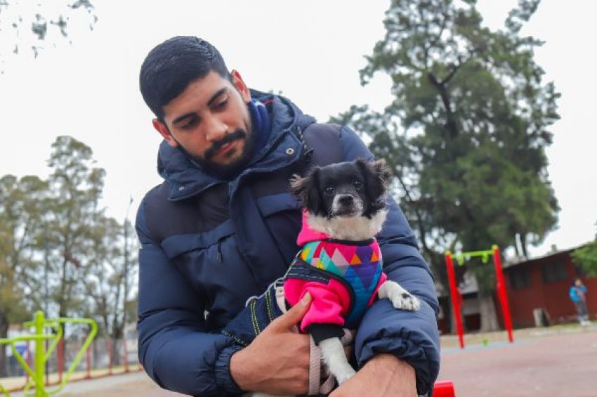 Punto de Castración Itinerante: nuevo operativo en Lanús Oeste