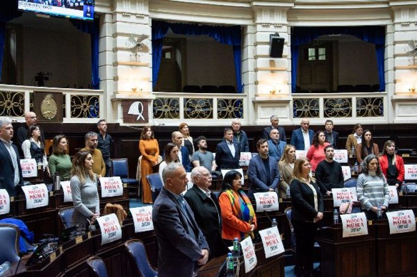 La Cámara Baja bonaerense aprobó el proyecto de Ley de Abordaje Integral de las Violencias por Razones de Género