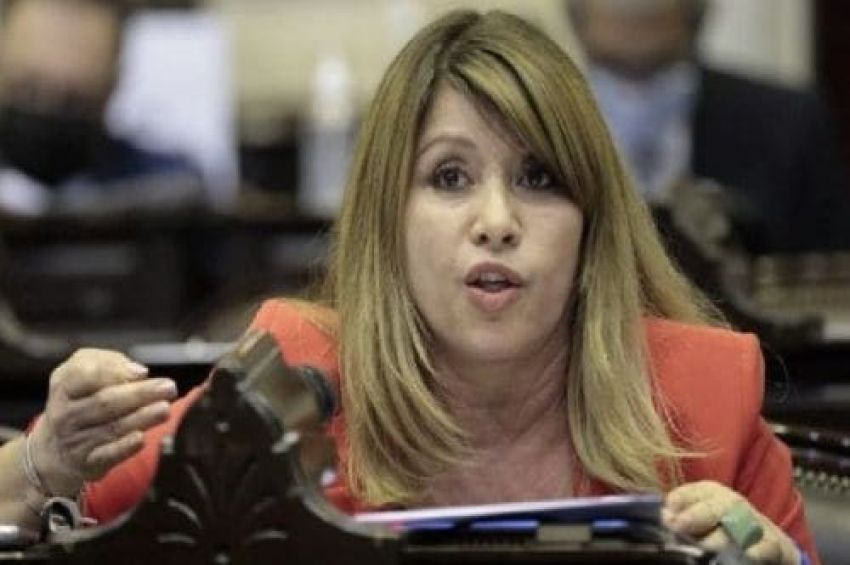 Litza: «La gestión de Massa defiende el futuro y la soberanía de la Argentina ante el FMI»